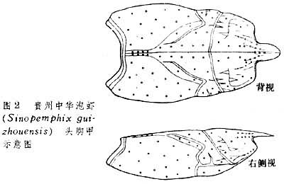 节肢动物门(化石),Arthropoda(fossil),音标,读音
