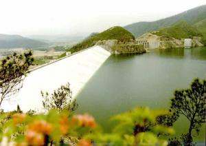 牛头山水库,Niutoushan Reservoir,音标,读音,翻