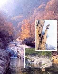 洛宁神灵寨国家级森林公园