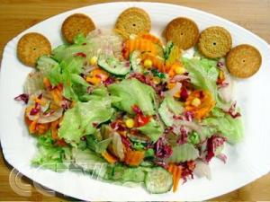 鲜蔬菜沙拉,fresh vegetable salad,音标,读音,翻