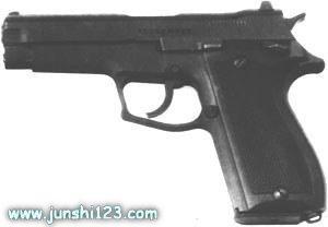 大宇dp51式9mm手枪