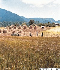 埃塞俄比亚农村景观