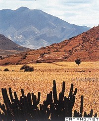 墨西哥高原,Altiplanicie+Mexicana,音标,读音,翻