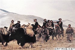 青藏高原上的牧民