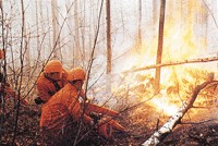 1987年大兴安岭森林火灾时防火队员救火