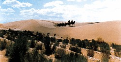 穿越巴丹吉林沙漠的驼队
