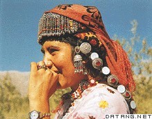 塔吉克族,Tajik,音标,读音,翻译,英文例句,英语词