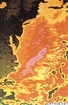 墨西哥湾流卫星照片（湾流呈红色，北美大陆呈褐绿色）