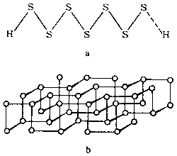 图1 均链聚合物