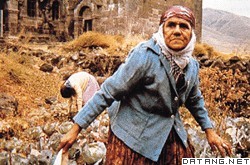 亚美尼亚人老年妇女