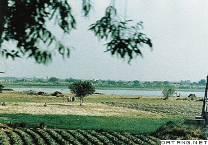 印度河-恒河平原风光