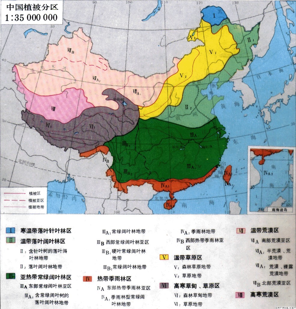 地图：中国植被分区