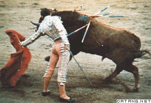西班牙斗牛
